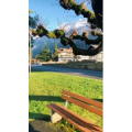 风景580