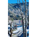 风景582