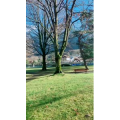 风景587
