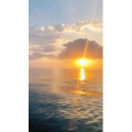 风景594