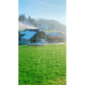 风景595
