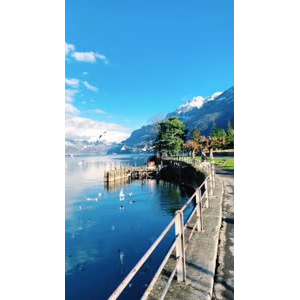 风景596