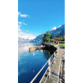 风景596
