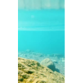 风景599