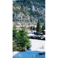 风景603