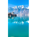风景611