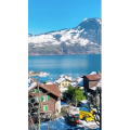 风景614