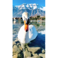 风景625