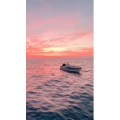 风景646