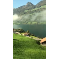 风景649