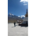 风景656