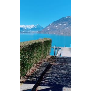 风景659