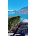 风景659