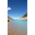 风景663