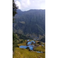风景665