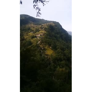 风景687