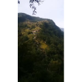 风景687