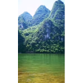 风景699