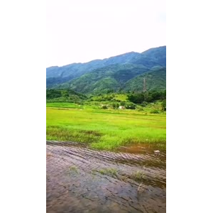 风景714