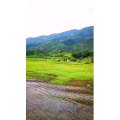 风景714