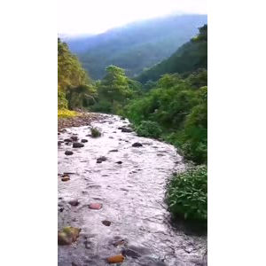 风景715