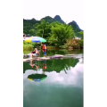 风景720