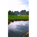 风景722