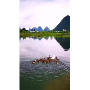 风景724