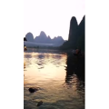 风景725