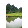 风景726