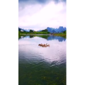 风景731