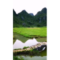 风景734