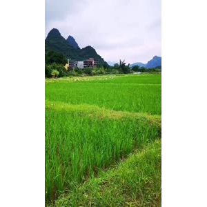风景746