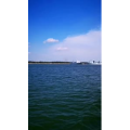 风景748