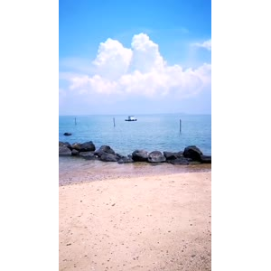 风景749