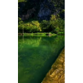 风景768