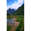 风景770