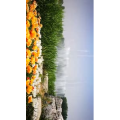 风景774