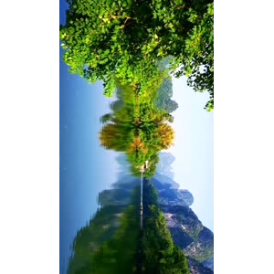 风景798