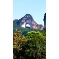 风景799