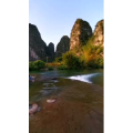 风景801