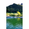 风景802