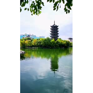 风景803