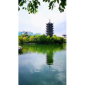 风景803