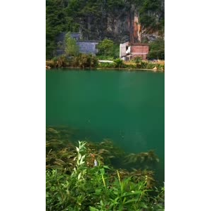 风景806