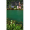 风景806