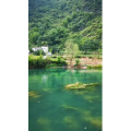 风景813