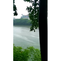风景814