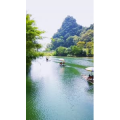风景815