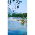 风景816